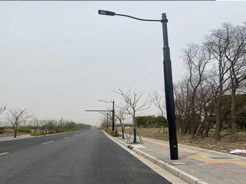 东坡区上海综合杆 太阳能路灯工程